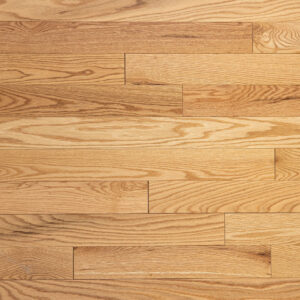 Cedar